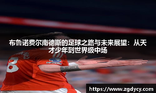 布鲁诺费尔南德斯的足球之路与未来展望：从天才少年到世界级中场