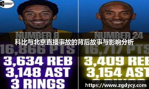 3377体育
